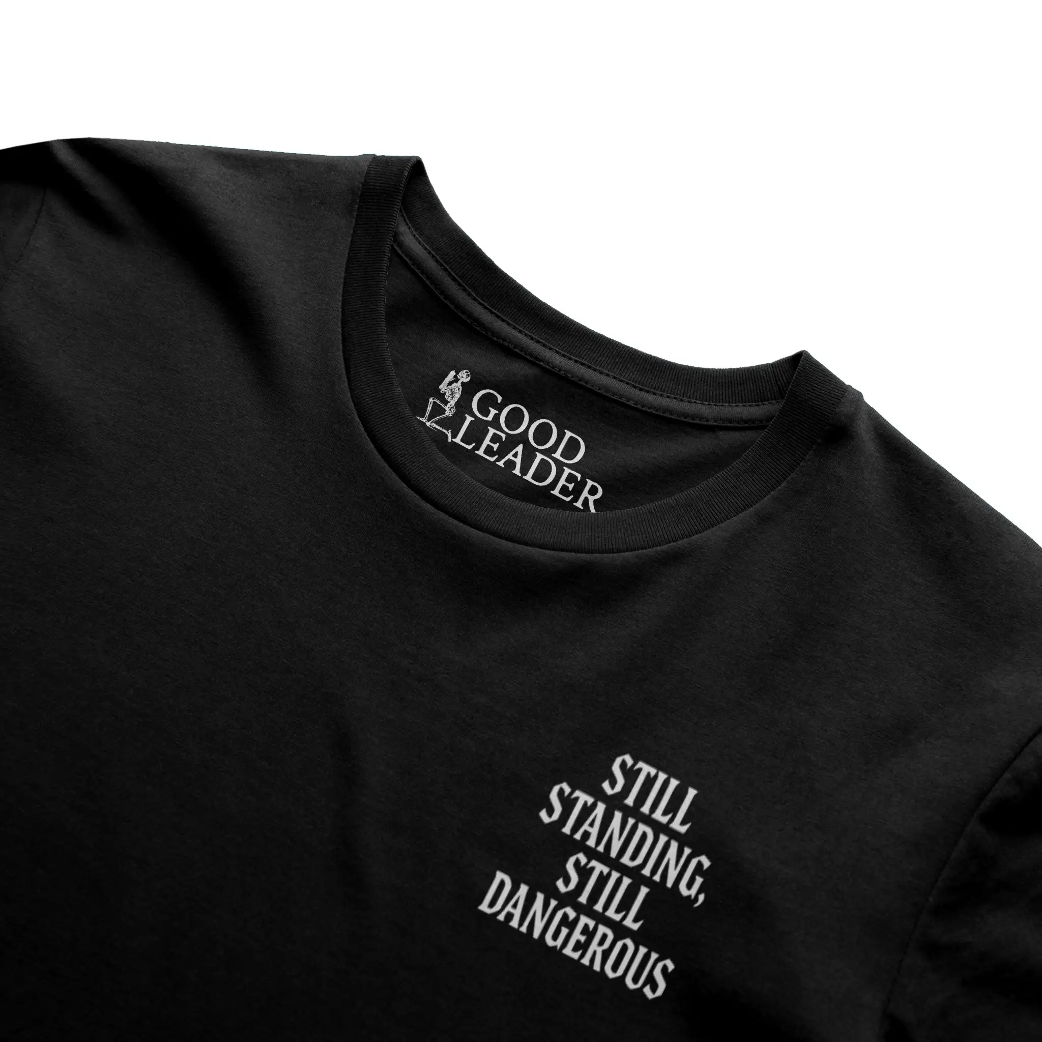 Still Standing, Still Dangerous